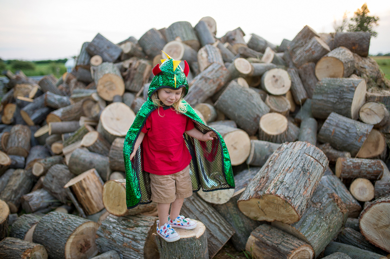 Great Pretenders - Toddler Reversible Spider & Bat Cape - Size 2-3T