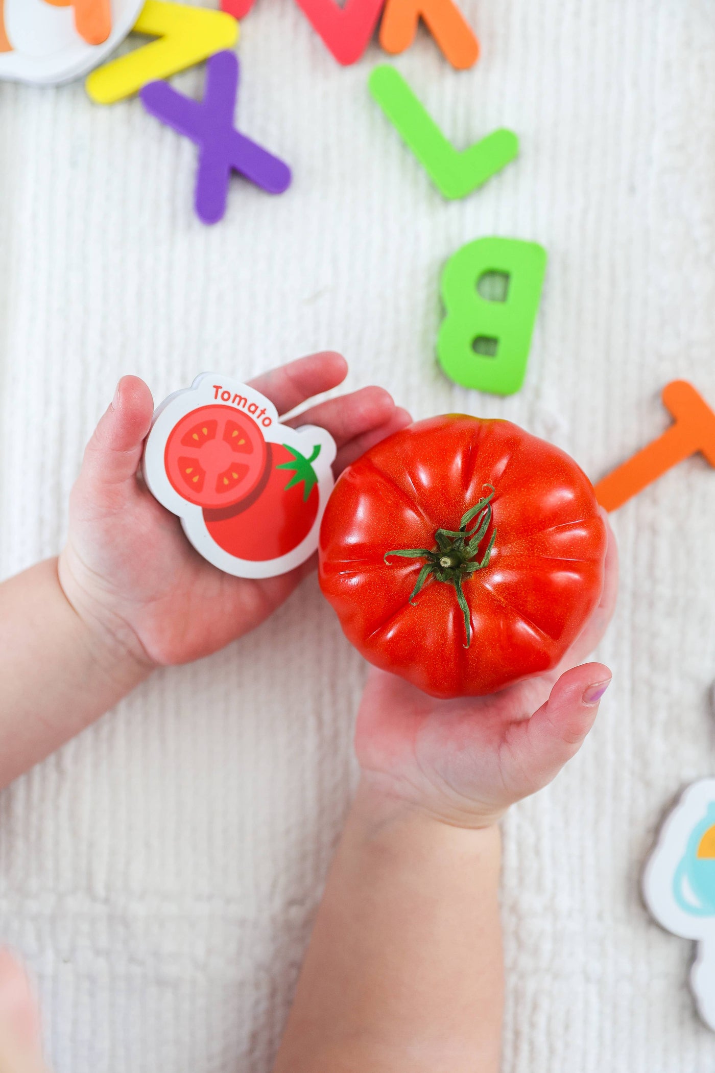 Curious Columbus - Magnetic Foods and Letters