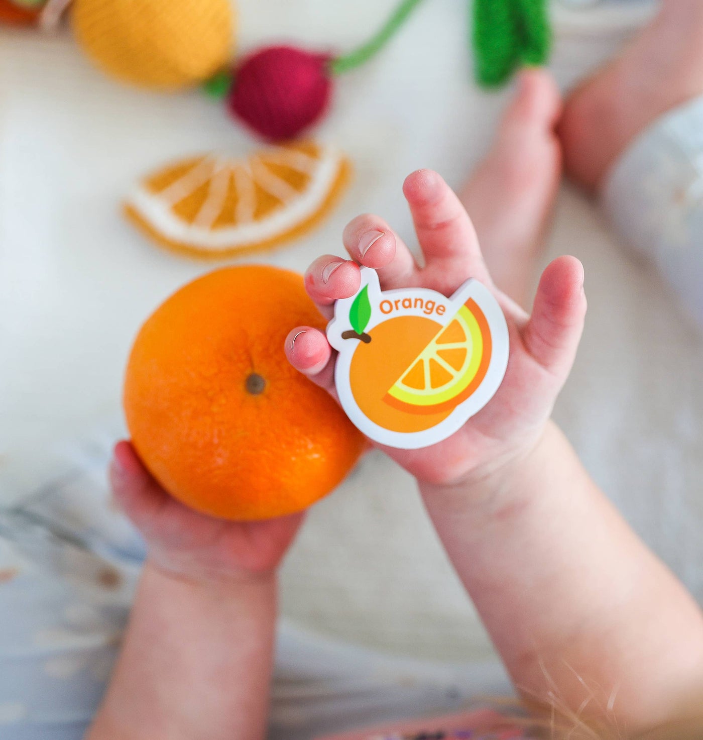 Curious Columbus - Magnetic Foods and Letters