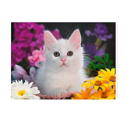 Ravensburger - Glitter Cat Puzzle 100 Pc