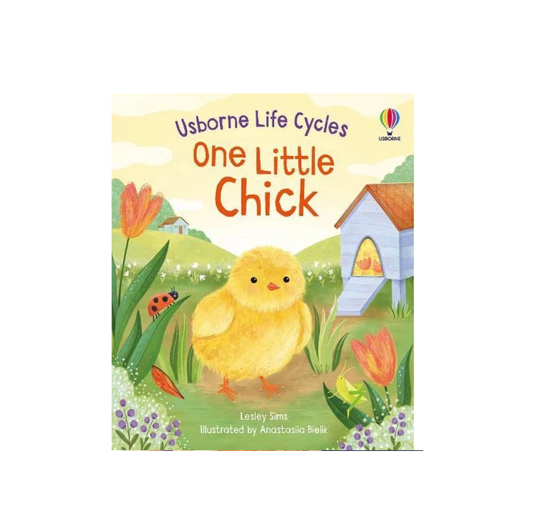 Usborne - Life Cycles - One Little Chick
