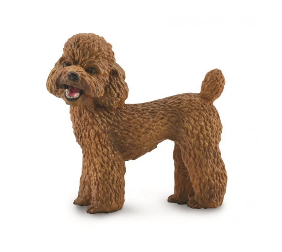 Collecta - 88880 Poodle