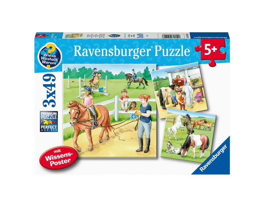 Ravensburger - A Day at the Stables 3 x 49 Pc Puzzle