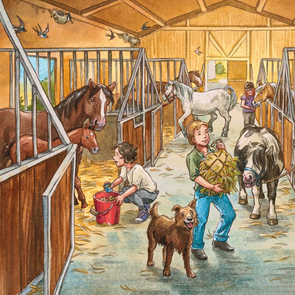 Ravensburger - A Day With Horses 3 X 49 Pc Puzzle