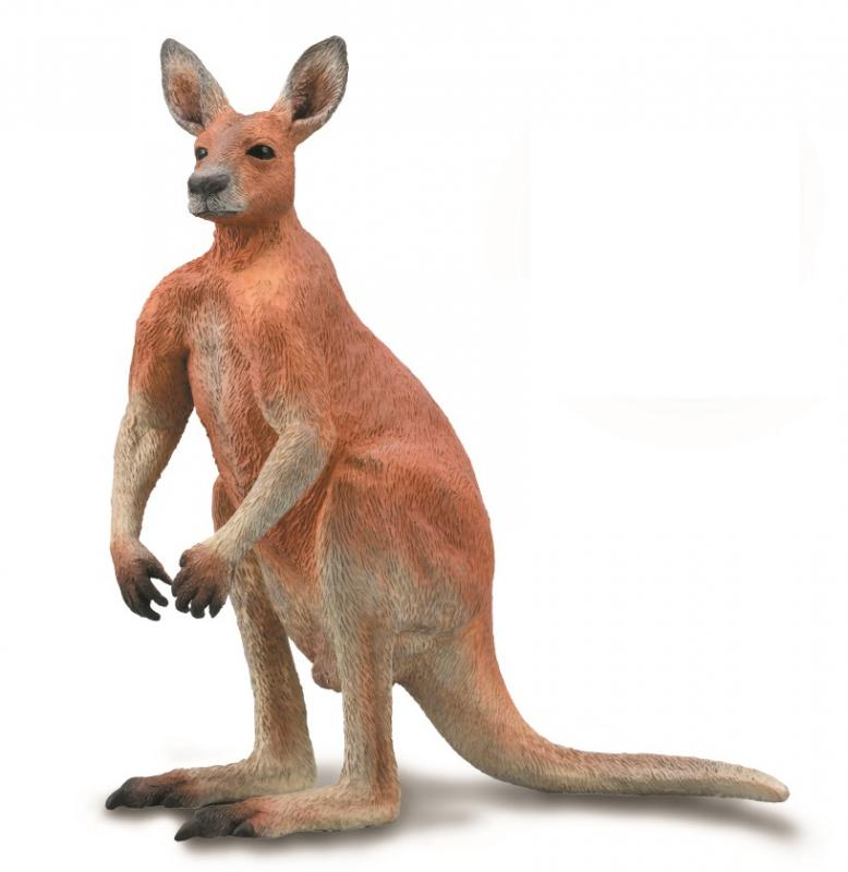 Collecta - 88942 Red Kangaroo Male