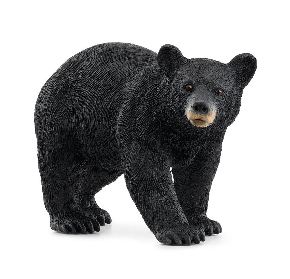 Schleich - 14869 American Black Bear
