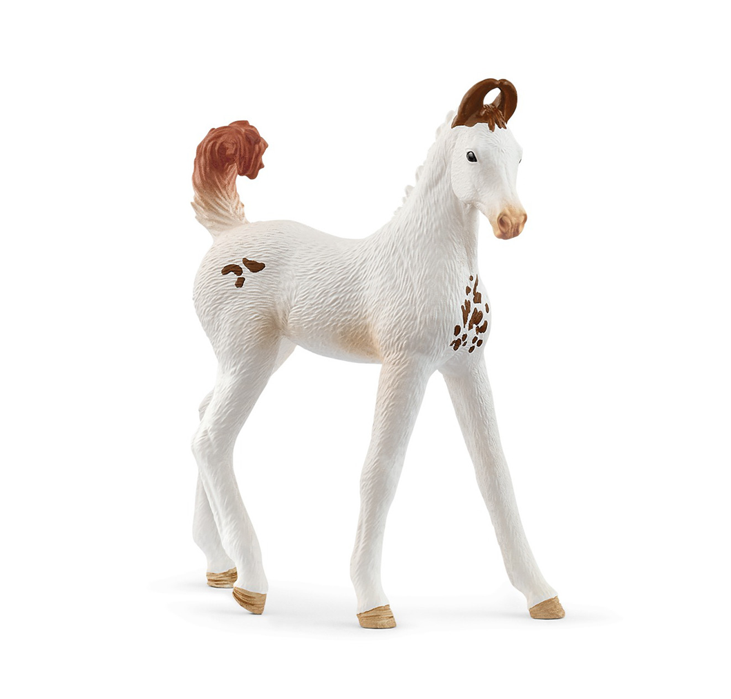 Schleich - 14896 Marwari Foal