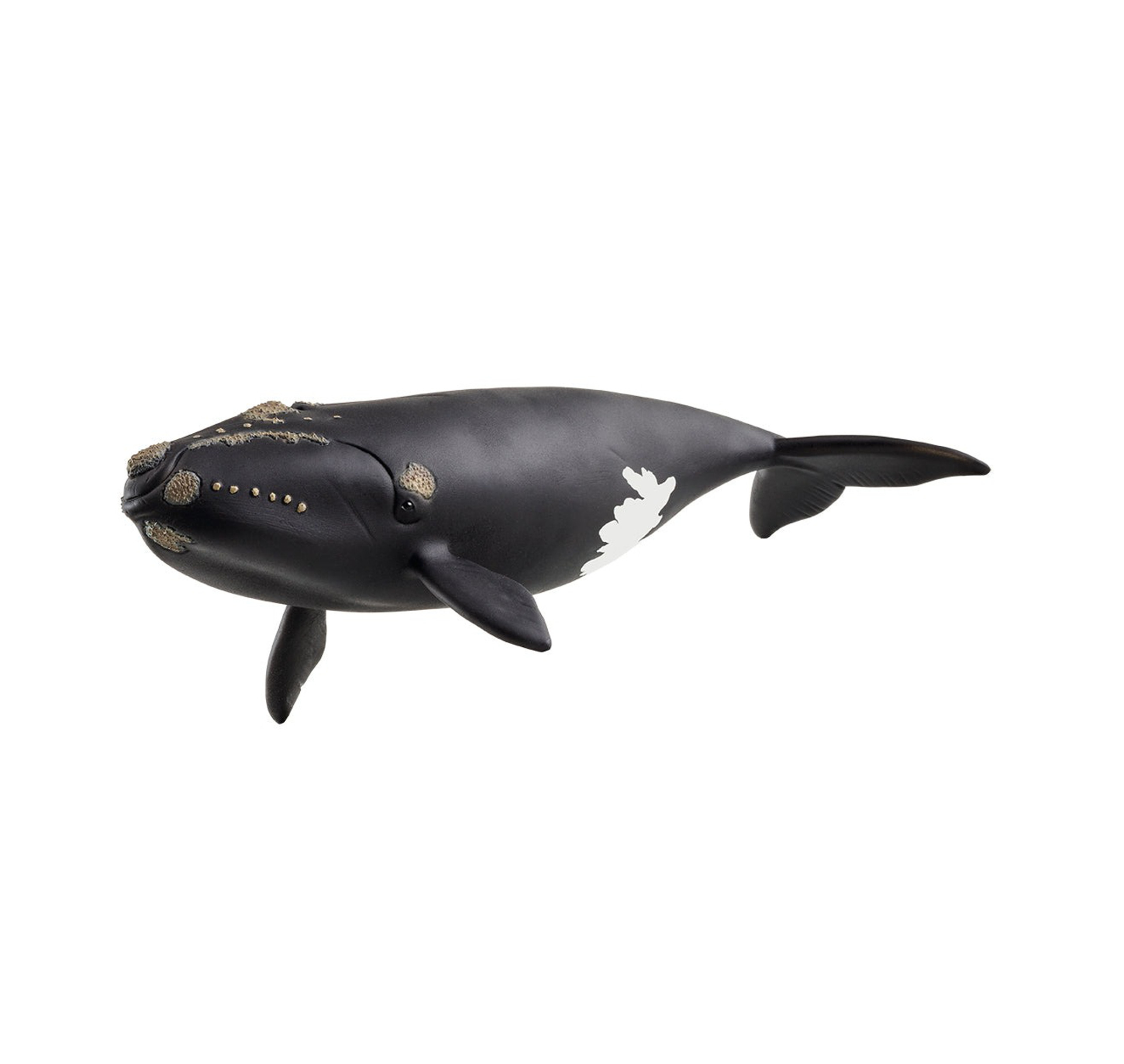 Schleich - 14878 North Atlantic Right Whale