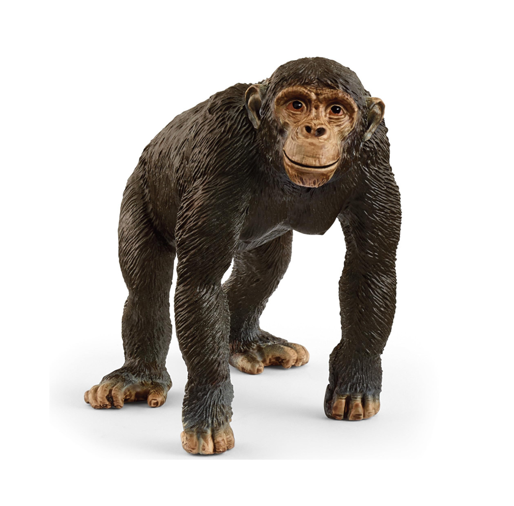 Schleich - 14883 Chimpanzee 2025