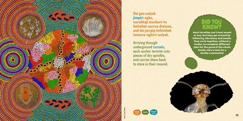 Tamarra A Story Of Termites On Gurindji Country