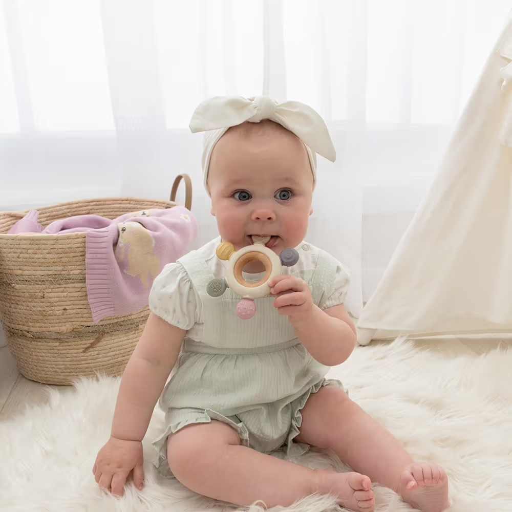 Playground - Multi-Surface Teething Wheel - Rose