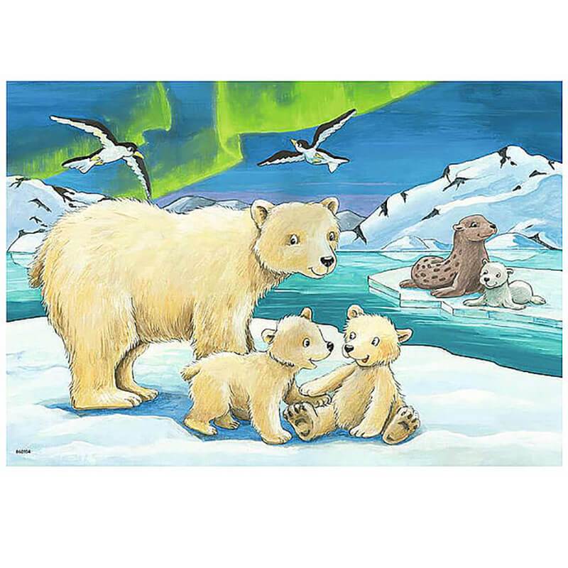 Baby Safari Animals - North Pole