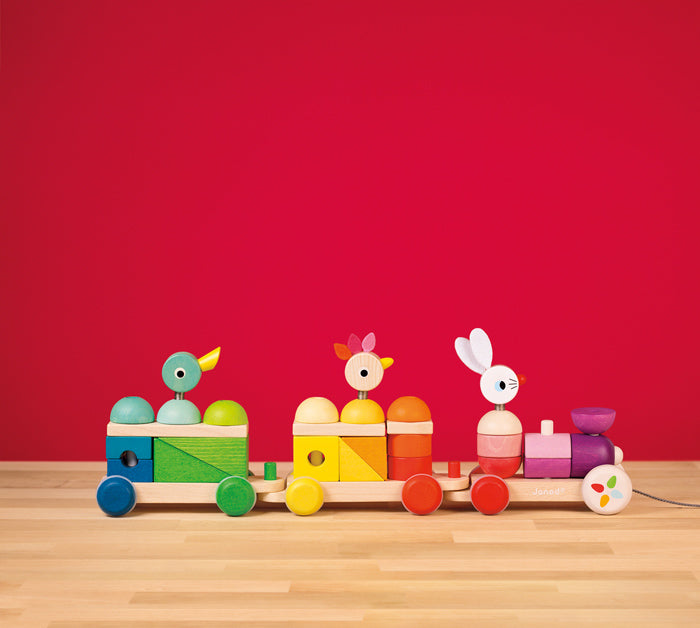 Janod Giant Multicolour Train wooden toys