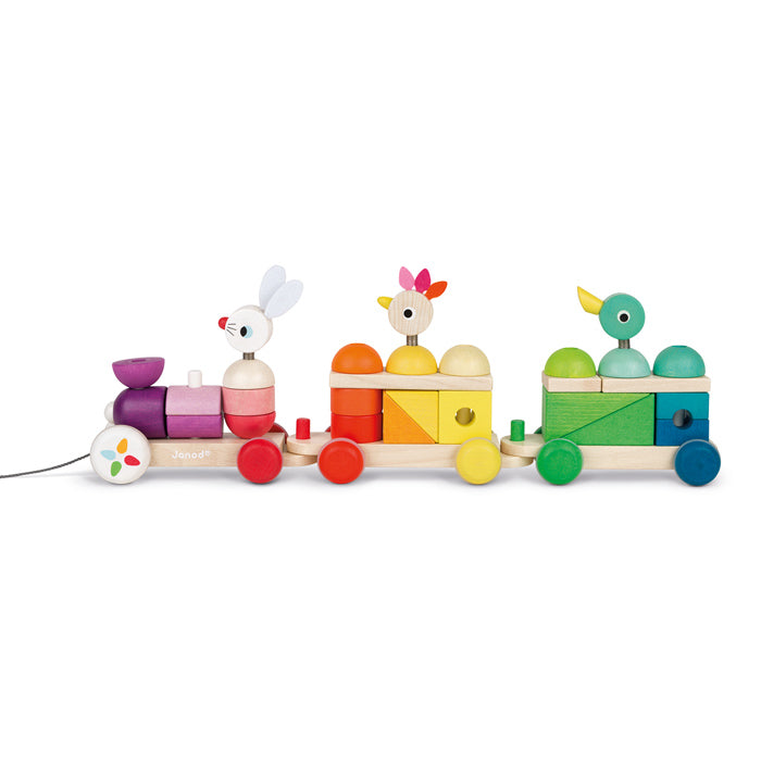 Janod Giant Multicolour Train 