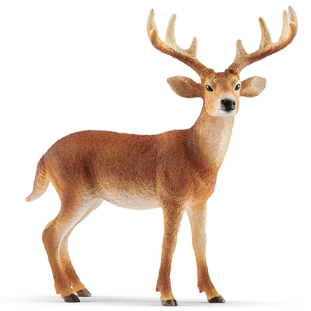 Schleich 14818 Buck White-Tailed Deer