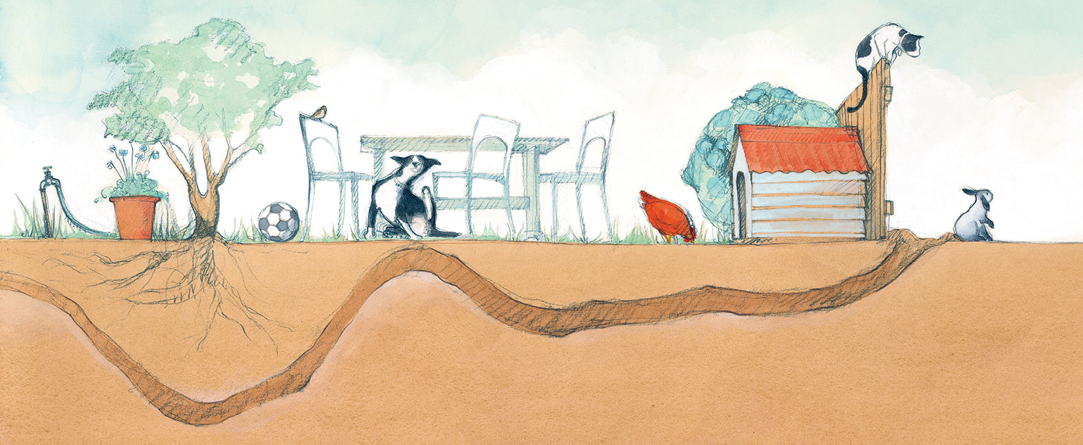 The Great Rabbit Chase illustration