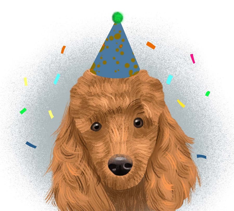 Small Greeting Card by Cat McInnes