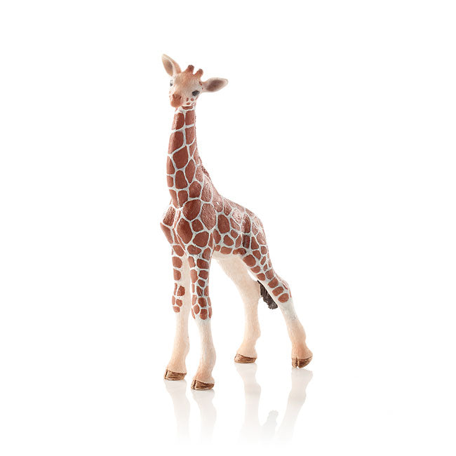 Schleich - 14751 Giraffe Calf