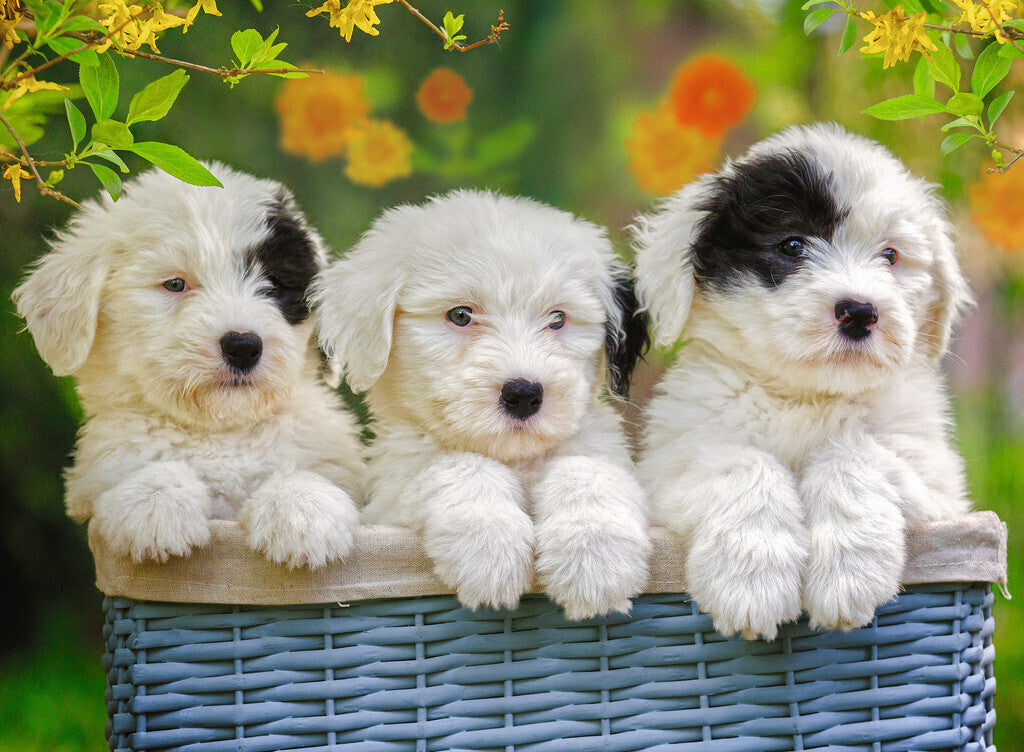 Ravensburger - Cuddly Puppies 200 Pc Puzzle