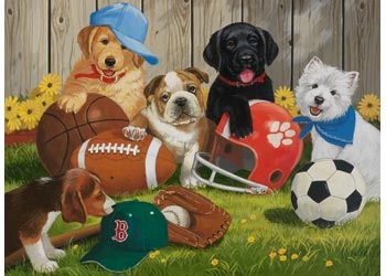 Ravensburger - Lets Play Ball 200 Pc Puzzle