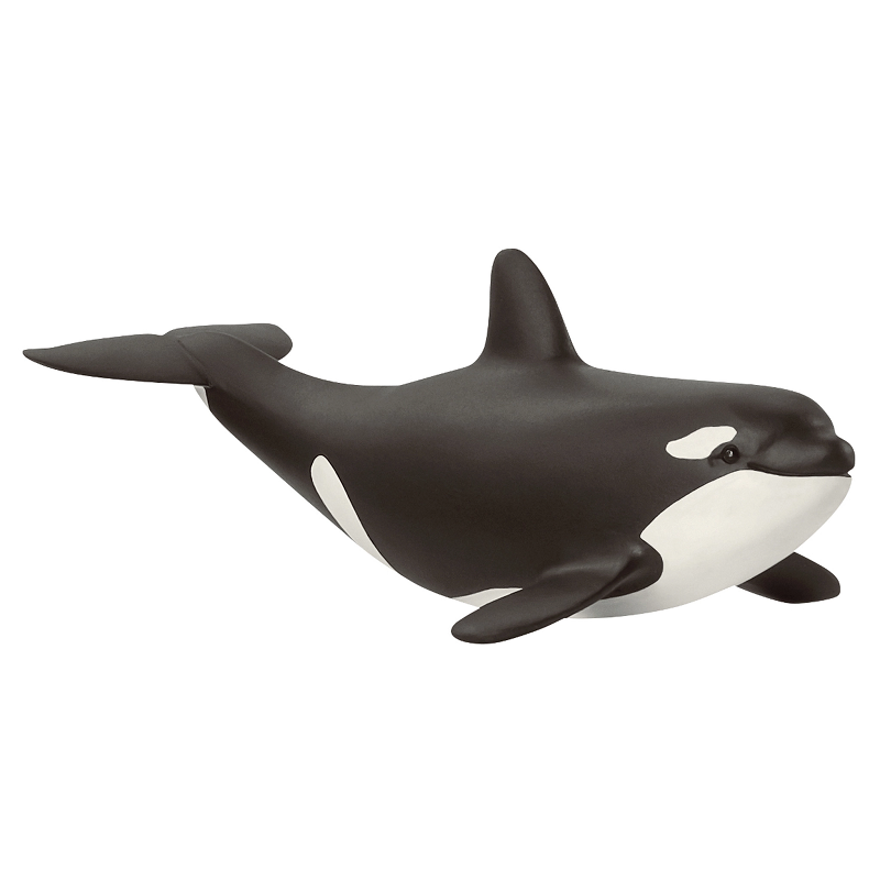 Schleich Orca Calf at Little Sprout