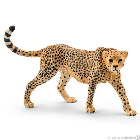 Schleich - 14746 Cheetah Female