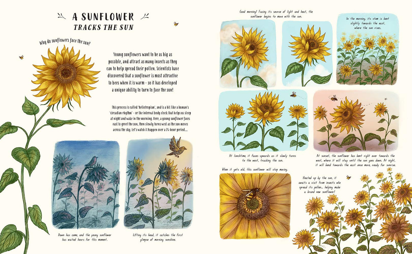 Slow Down example page Sunflower