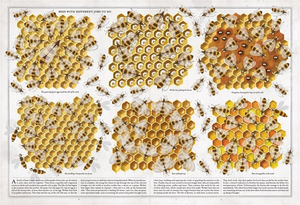 The Book of Bees pages