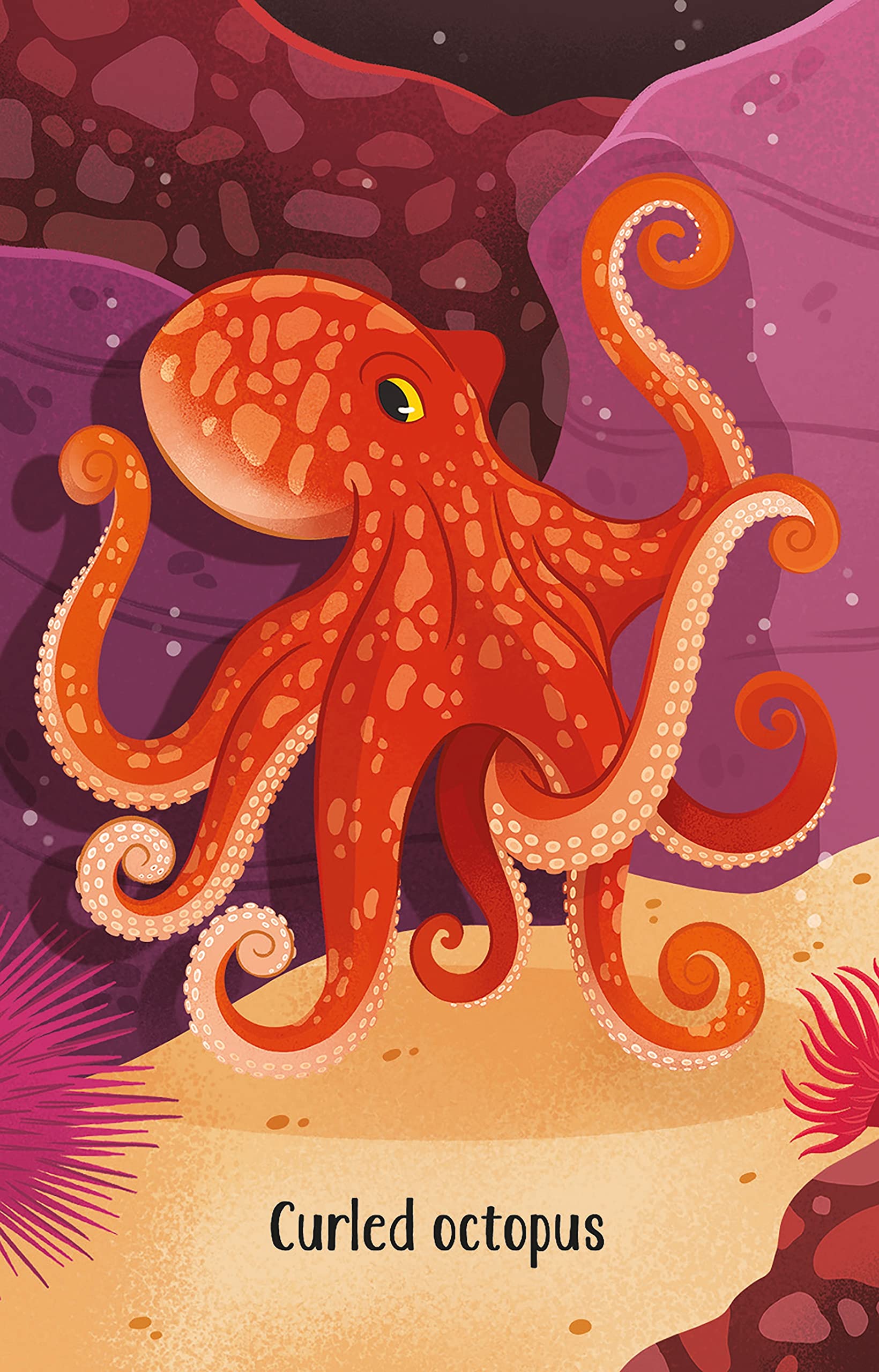 Usborne Aquarium Snap octopus card
