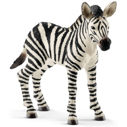 Schleich - 14811 Zebra Foal